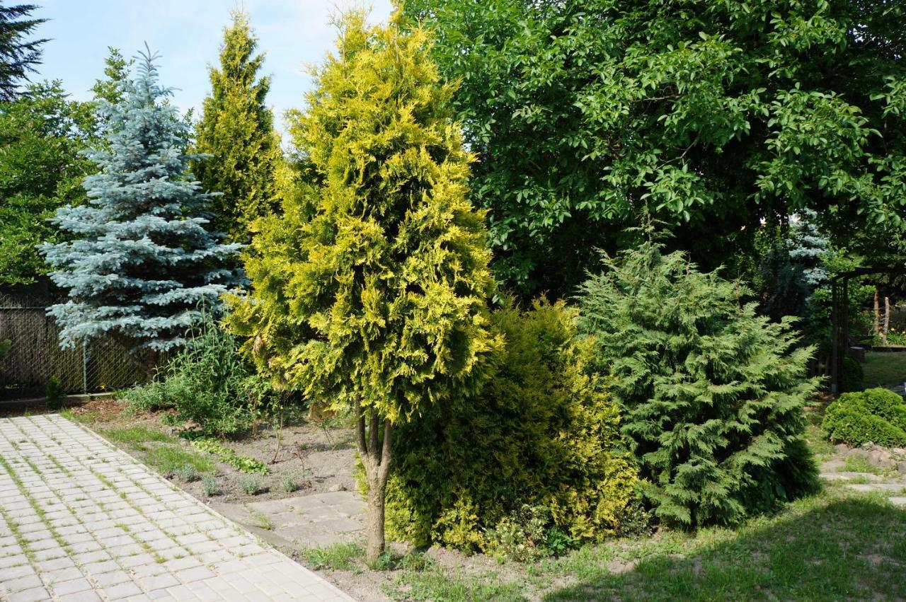 Apartamenty Z Klimatem Poznań Esterno foto